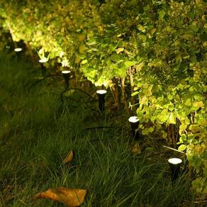 Luzes solares de corda de gramado LED com 10 luzes