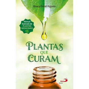 Plantas Que Curam