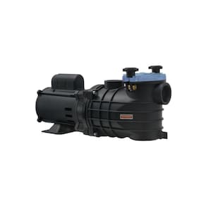 Motobomba Para Piscina 1 1/2 Polegada Eko 1cv 220/380v
