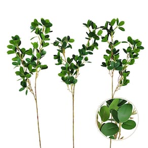 Planta Artificial Buxus Microphylla 81X15X10Cm Haste Kit 3Pc