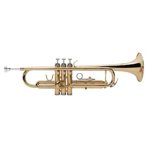 Trompete Michael Wtrm30 3 Válvulas Laqueado Com Capa
