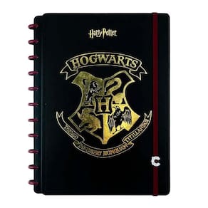 Caderno Inteligente Harry Potter Hogwarts 80Fls - Médio