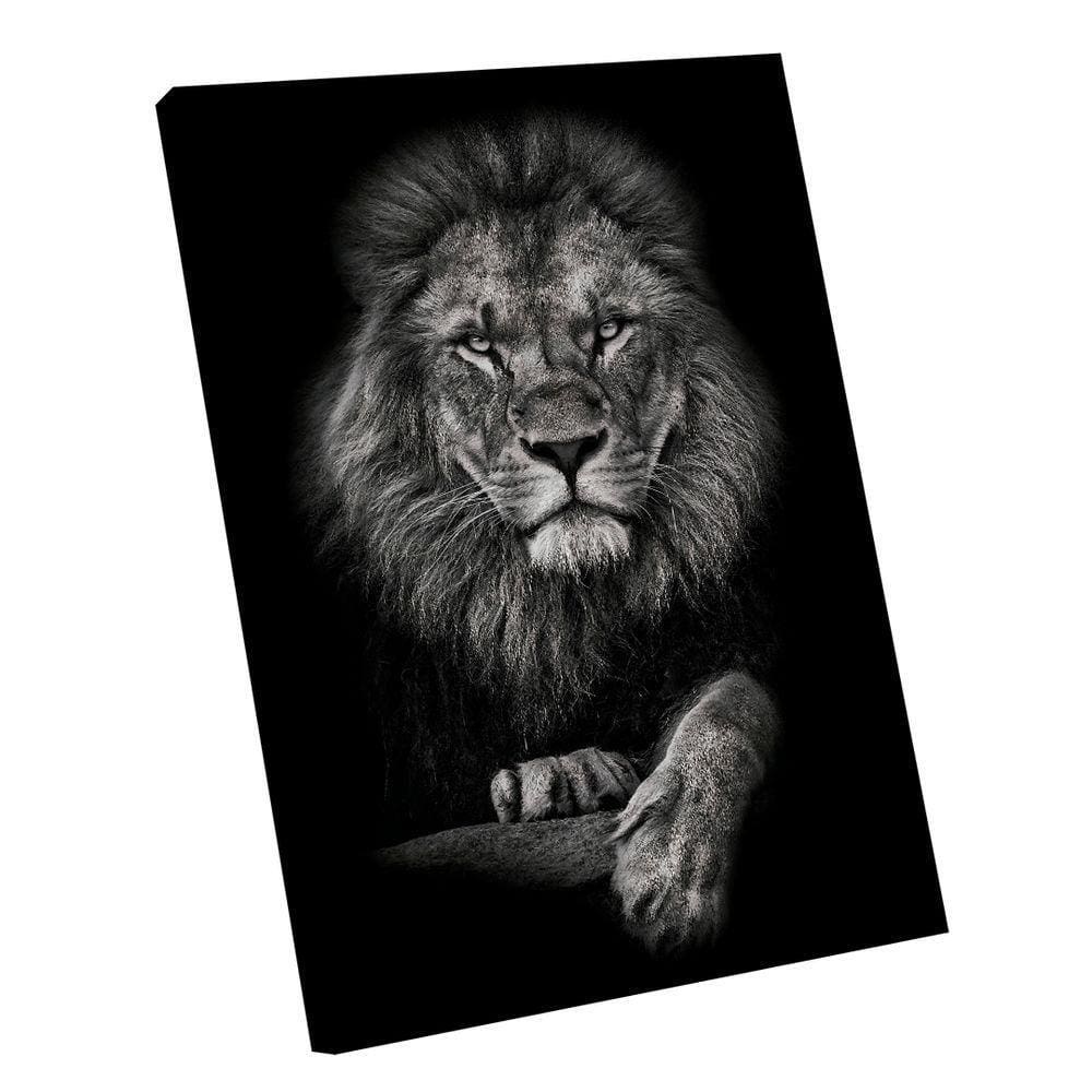 Quadro Realeza Do Leão Pb -- Br Artes