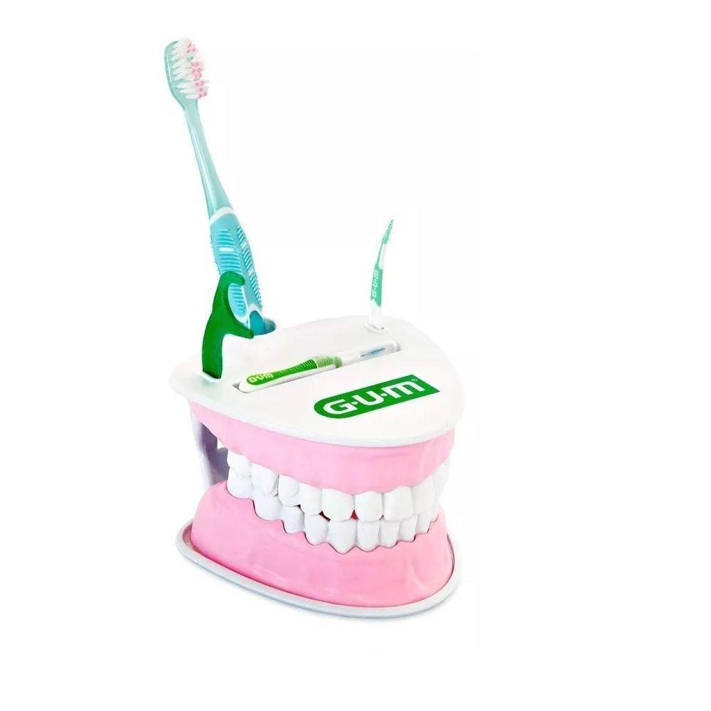 Macromodelo Dental GUM