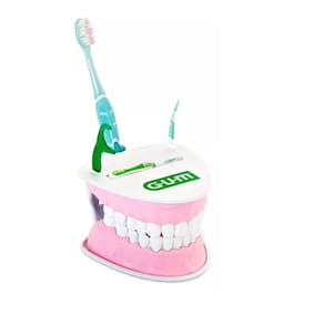 Macromodelo Dental GUM