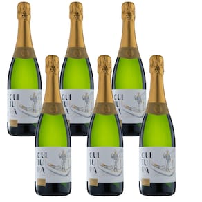 Cx 6 Espumante Brut Branco Cultura Prosecco Glera - Tenuta Foppa & Ambrosi 750 ml