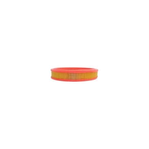Filtro De Ar Mann-Filter Pampa/Scala - C 2840