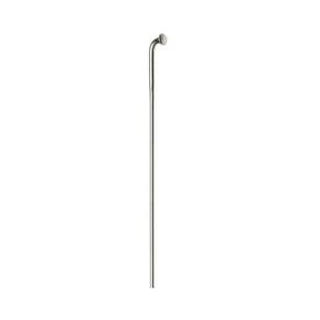 Raio Dt Swiss Champion 2.0X262Mm J-Bend Prata