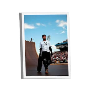 Quadro Bob Burnquist -- Br Artes