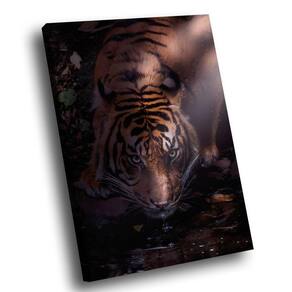 Quadro Tigre Dark -- Br Artes