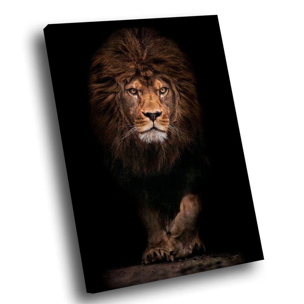 Quadro Leão Assente -- Br Artes