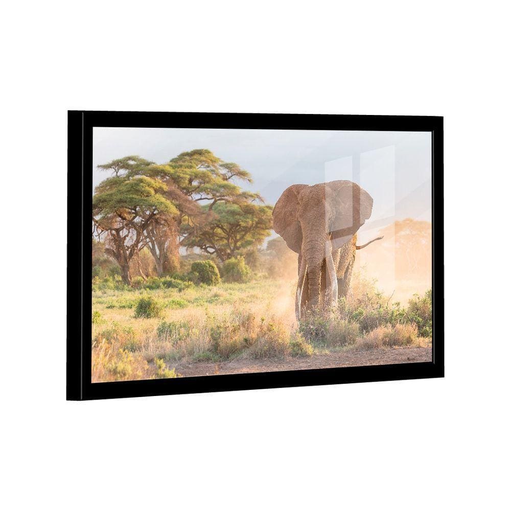 Quadro Elefante Savana -- Br Artes