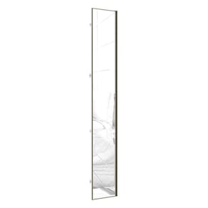 Porta Para Roupeiro Canto 40cm Inox Com Espelho Espelho