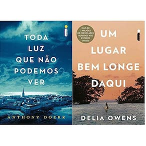 Kit 2 Livros Toda Luz Que Não Podemos Ver + Um Lugar Bem