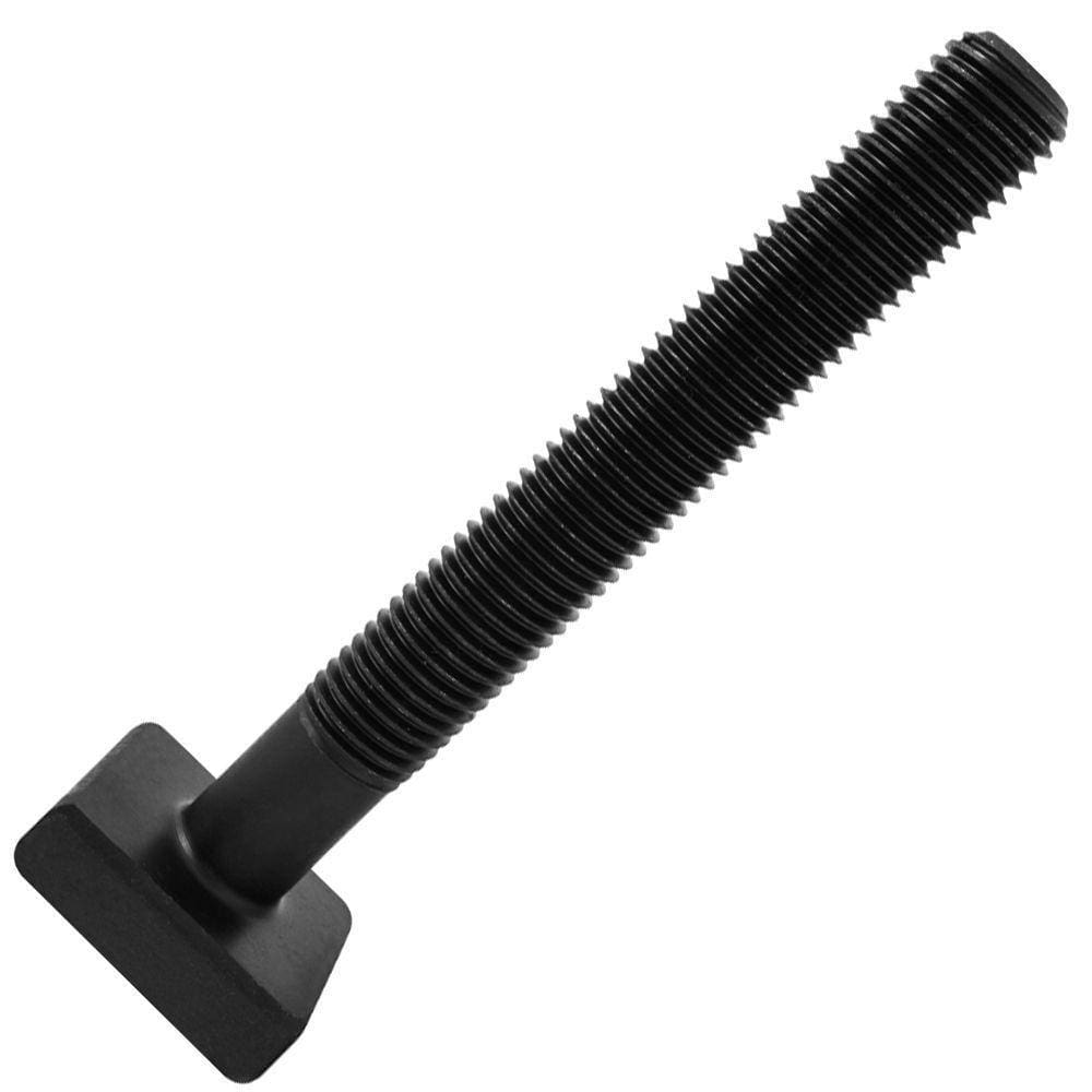 Parafuso Cabeça "t" M20 X 2,50 X 200mm - Modelo Pct-0009