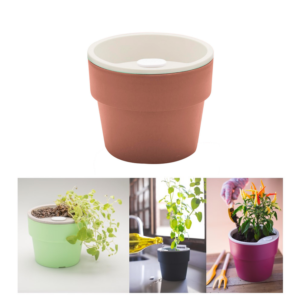 Vaso Autoirrigável Médio Plantas Flor Tempero Jardim Horta - VS 280 Ou