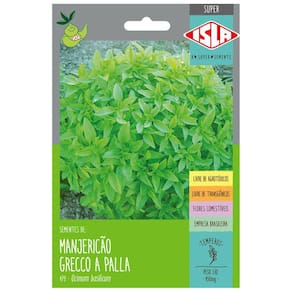 Sementes de Manjericão Grecco a Palla Super ISLA