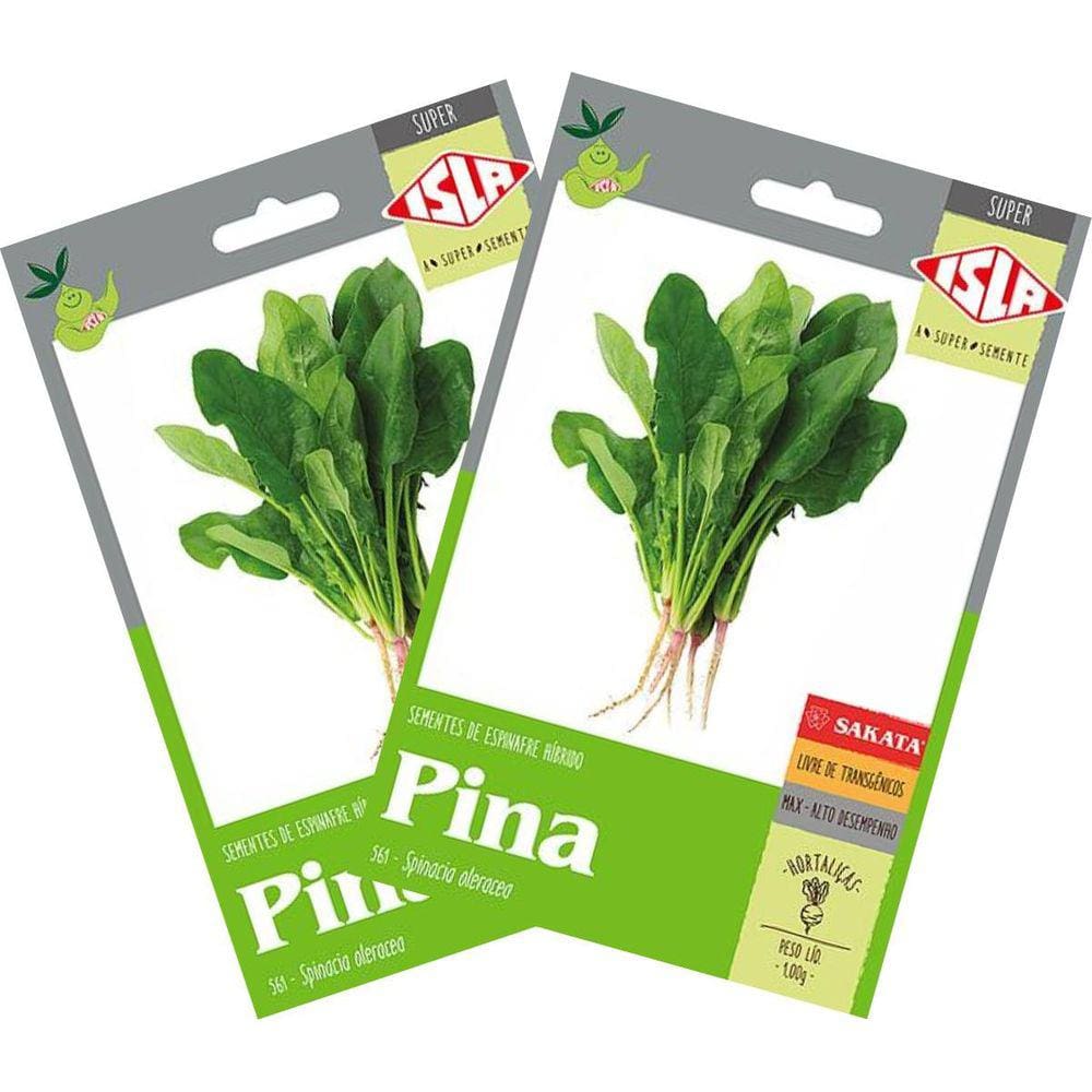 2X Sementes de Espinafre Híbrido Pina Super ISLA