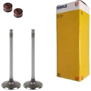 Kit Valvulas Admissao Escape E Retentores Cg Titan Fan Cargo Start Nxr Bros 150cc 2009 A 2022