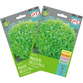 2X Sementes de Manjericão Grecco a Palla Super ISLA