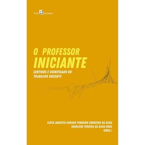 O professor iniciante: sentidos e significado do trabalho docente