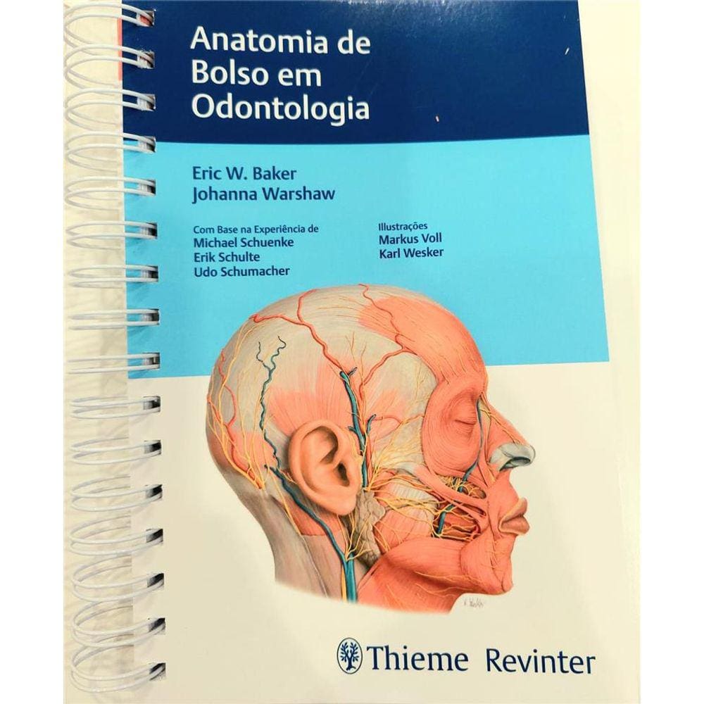 Anatomia De Bolso Em Odontologia