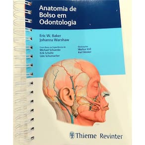 Anatomia De Bolso Em Odontologia