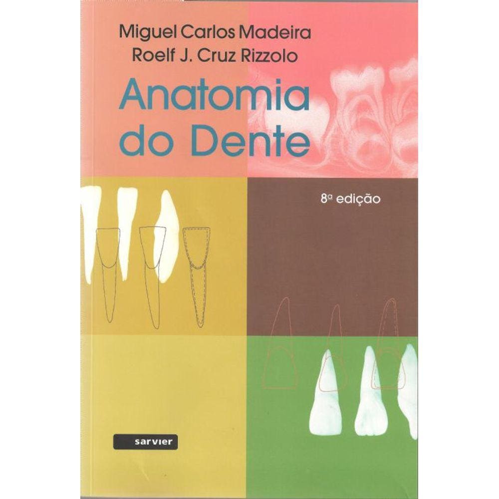 Anatomia Do Dente