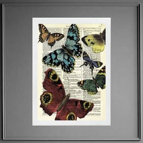 Quadro Vintage - Festa Das Borboletas 45X34Cm - Com Vidro