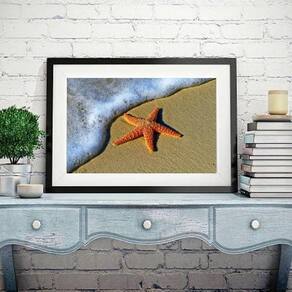 Quadro Estrela Do Mar Na Praia - 60X48Cm