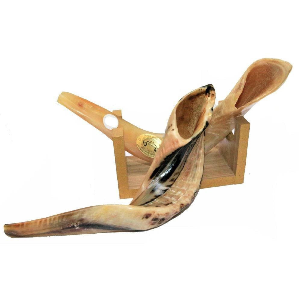 Shofar Chifre De Carneiro De Tocar + Suporte - De Israel