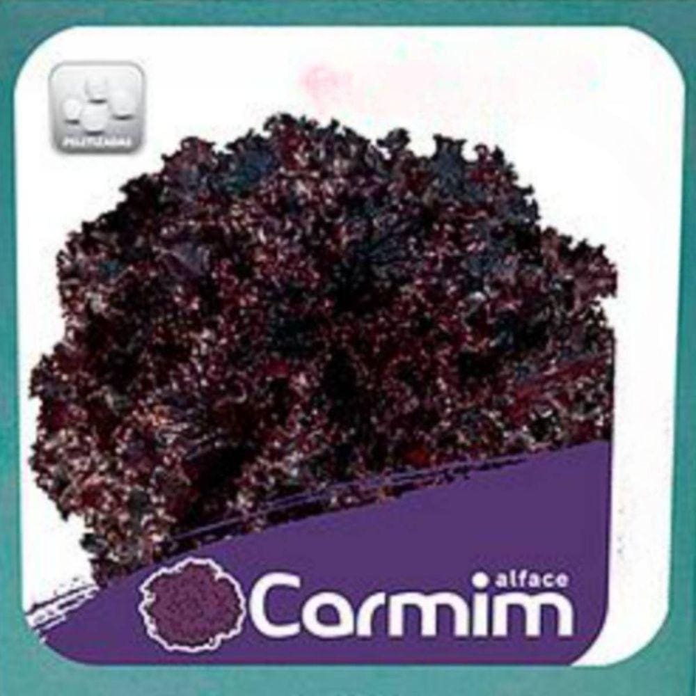 Sementes de Alface Carmim Crespa Peletizada (400un) ISLA