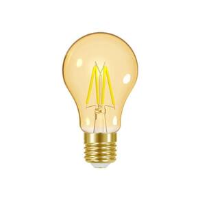 Lâmpada Led Dimerizável Taschibra Filamento Vintage A60 4w E27 220v