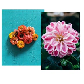 Kit 2 Quebra-cabeças Cognitivos para idosas Flores do Brasil de 60 peças