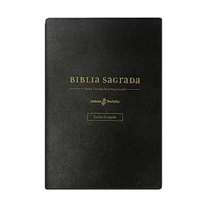 Bíblia Nvi com Espaço para Anotações - Couro Soft Preto - Leitura Perfeita