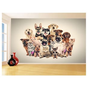 Papel De Parede 3D Animais Cão Gato Petshop 3,5M Anm426