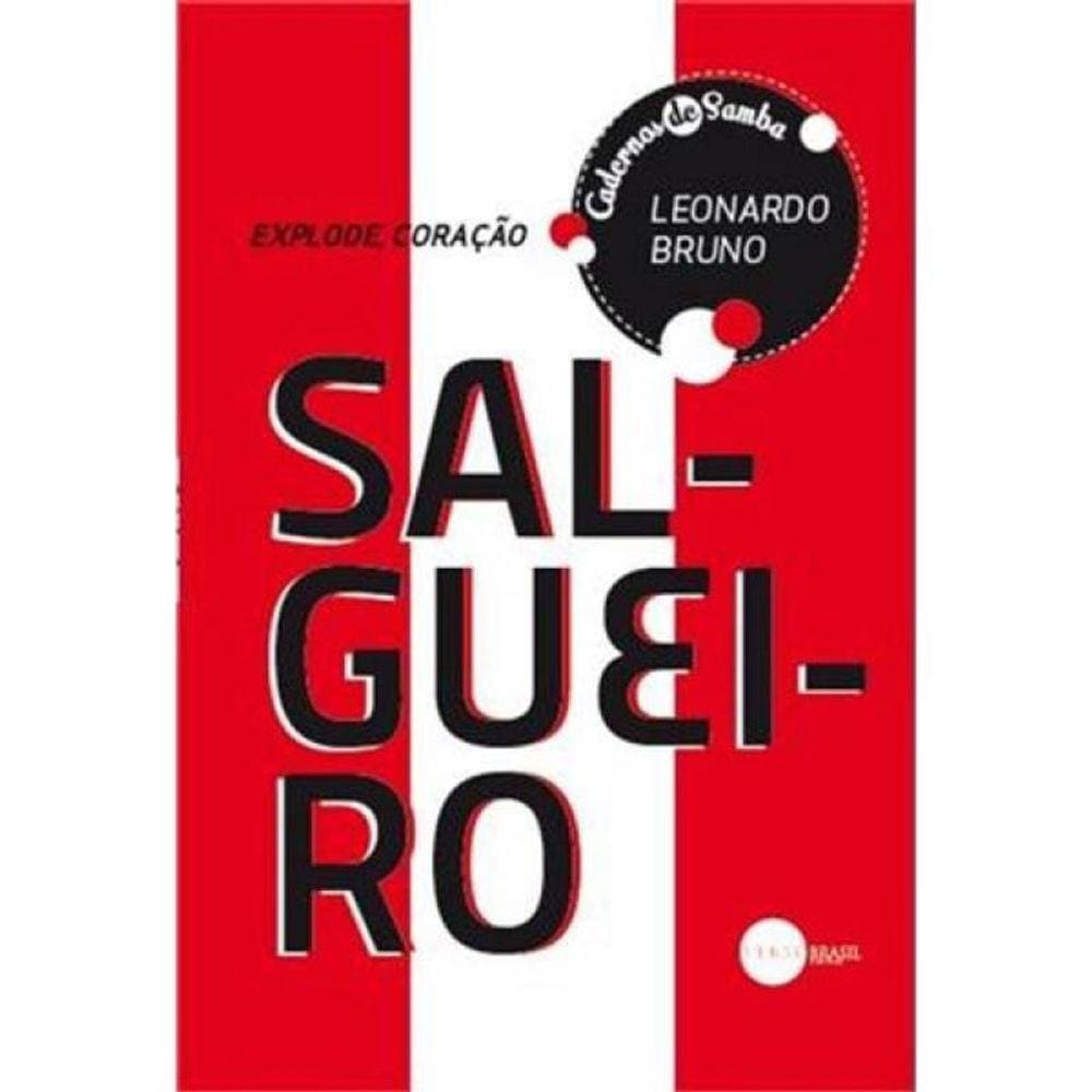 Explode, Coraçao - Historias Do Salgueiro