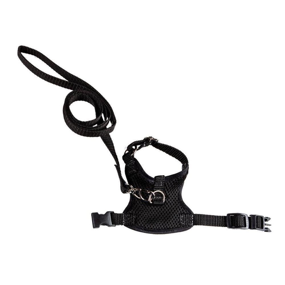 Coleira Peitoral Aerado Preto PP - Nicapet