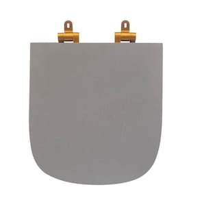 Assento Sanitário Poliéster para Louça Quadra/unic/axis deca Slow Close Gold Cinza Fosco