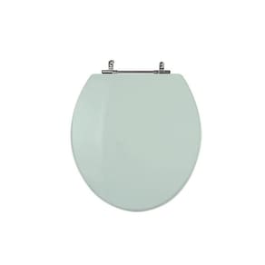 Assento Sanitário Poliéster para Louça Azálea/standard/carina/flamingo/fiore/sabará Aço Verde Claro