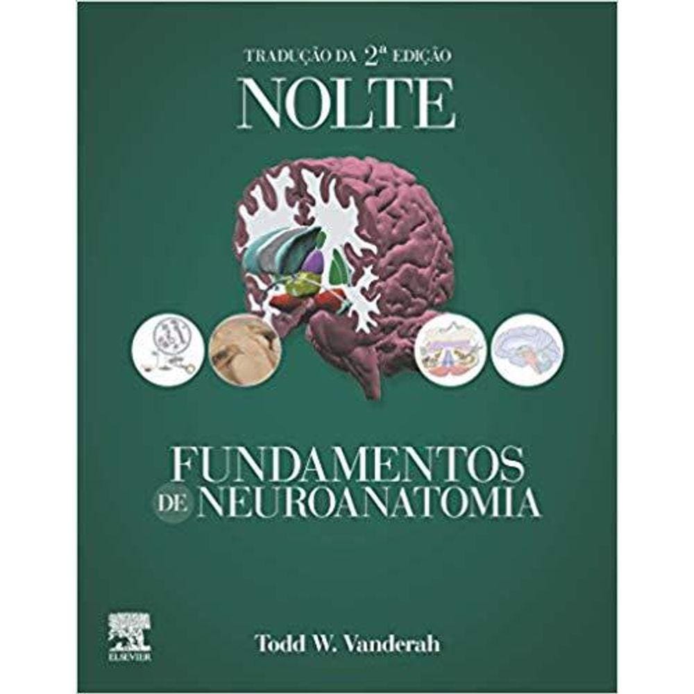 Nolte Fundamentos De Neuroanatomia