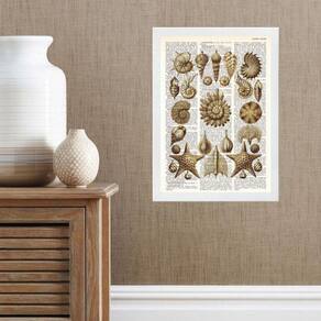 Quadro Casa De Praia - Conchas Vintage 33X24Cm