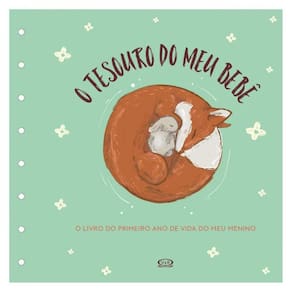 Tesouro Do Meu Bebê: O Livro De Recordações (Capa Verde)