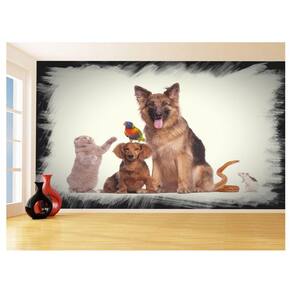 Papel De Parede 3D Animais Cão Gato Petshop 3,5M Anm427