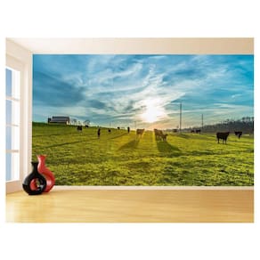 Papel De Parede 3D Por Do Sol Campo Fazenda Céu 3,5M Pds49