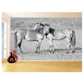 Papel De Parede Animais Casal Cavalos Fazenda 3,5M Anm330