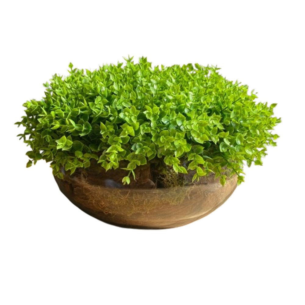Arranjo Grande Centro de Mesa Vaso Incolor com Verdinho