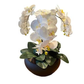 Arranjo Grande Centro de Mesa 3 Orquídeas Branca 3d Vaso Preto
