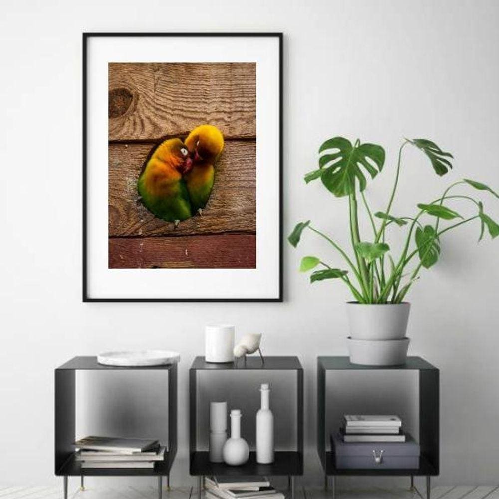 Quadro Fotografia Casal Passarinhos - 60X48Cm