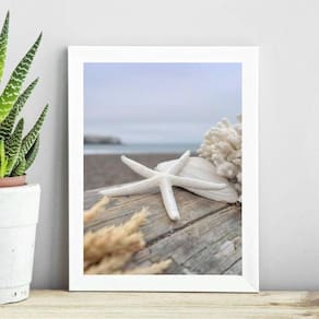 Quadro Coleção Praia Soft - Estrela Do Mar 33X24Cm
